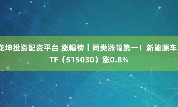 龙坤投资配资平台 涨幅榜丨同类涨幅第一！新能源车ETF（515030）涨0.8%